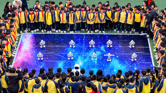 会选择及其